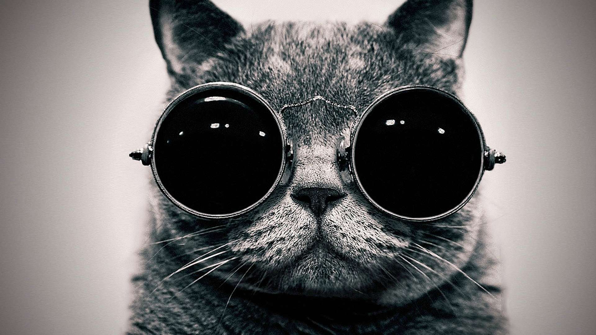 Cat-with-Goggles_www.FullHDWpp.com_